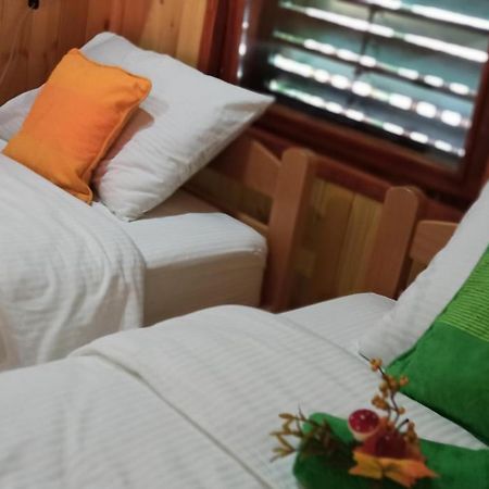 Apartman Orlovo Oko Mandici 외부 사진